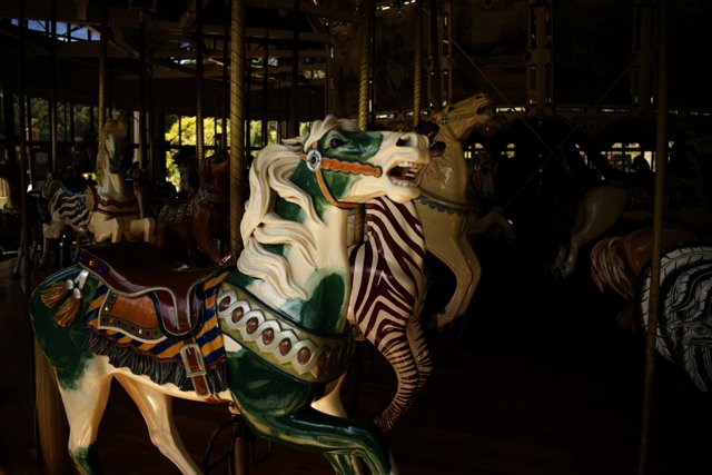 2023 Golden Gate Park Carousel: The Majestic Ride