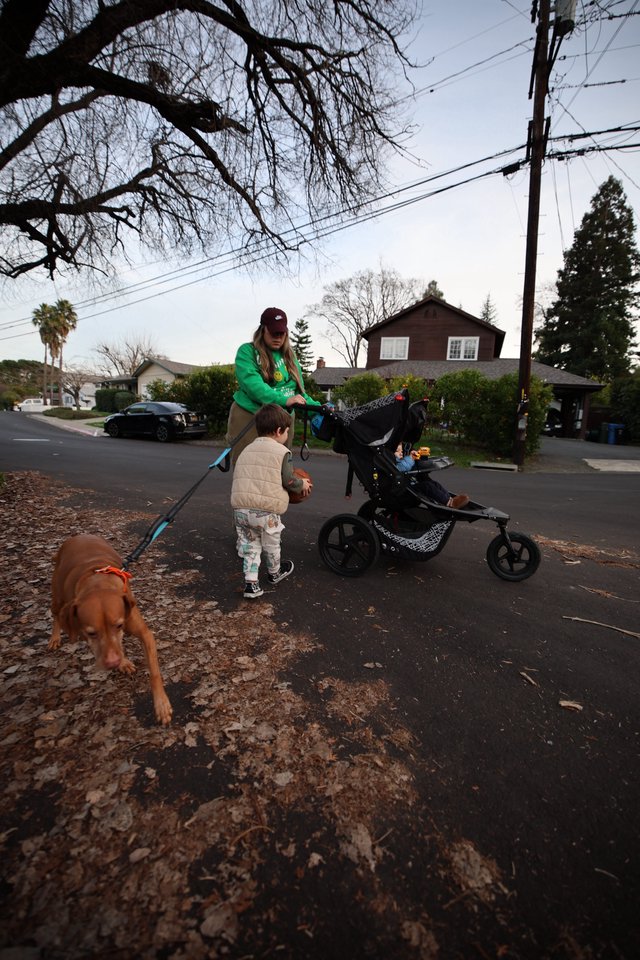 Family Evening Walk in Suburban Neighborhood