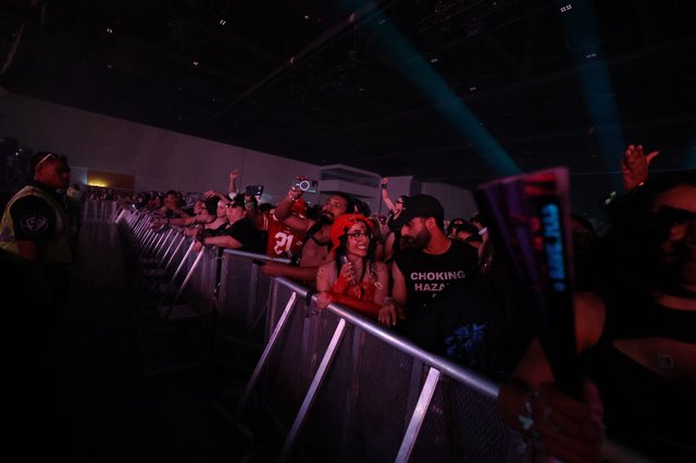 Front Row Fans Packed Against Concert Barrier