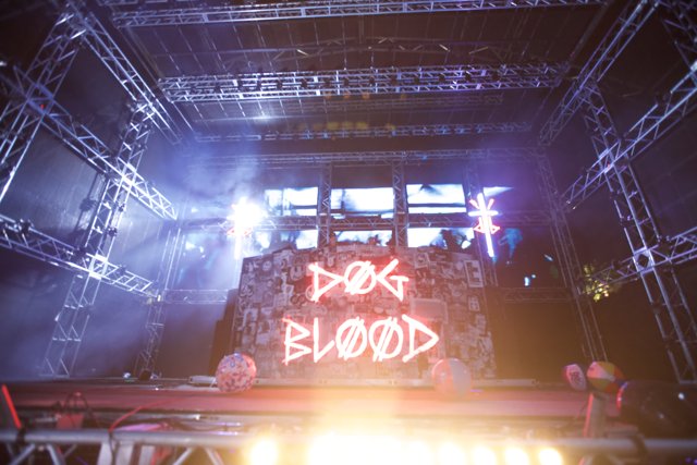 Dog Blood Takes the Coachella Stage