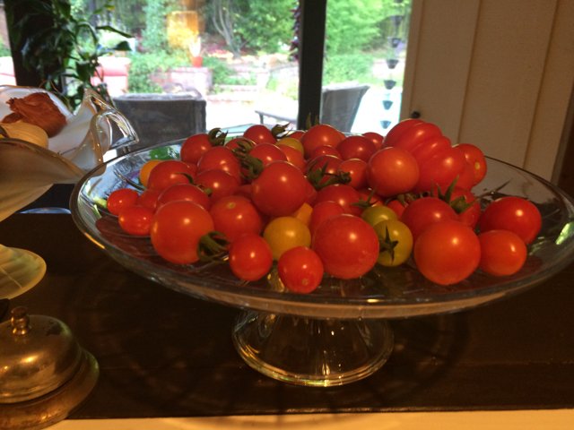 Fresh Tomatoes on Display