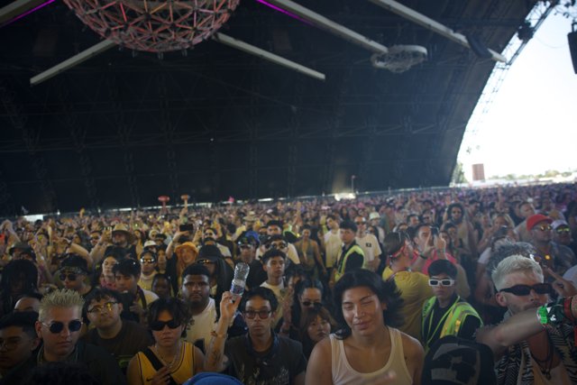 Immersed in the Beat: Coachella 2024, Weekend 2
