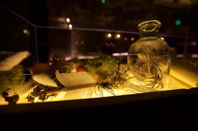 Artisanal Botanical Display with Herb-Infused Oil
