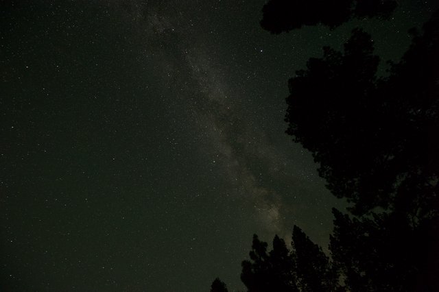 Milky Way Rising Over Tahoe Forest Silhouettes