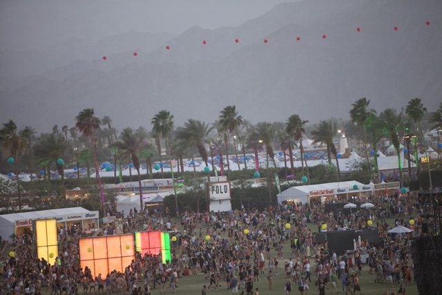 Palm Trees and Music at Coachella