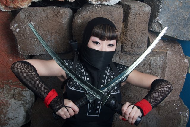 Deadly and Daring: Alice Lee, the Ninja Warrior