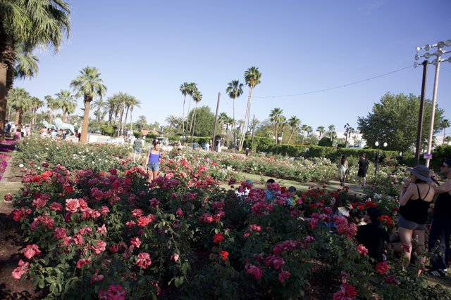 Blossoming Beats: Coachella 2024, Week 2 at the Rose Garden