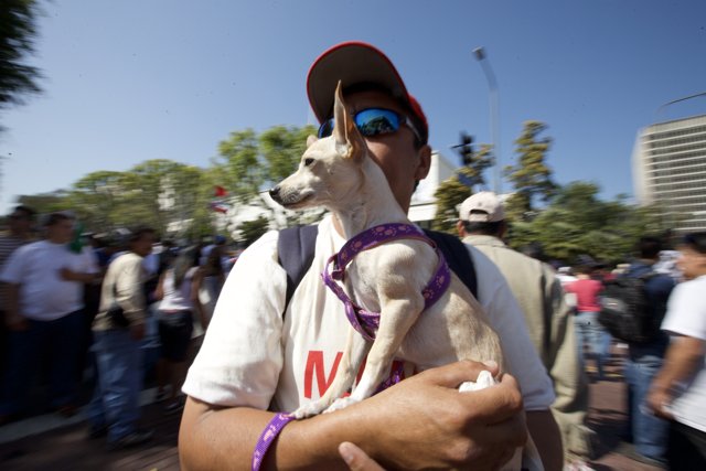 Man with his loyal hound at Mayday rally