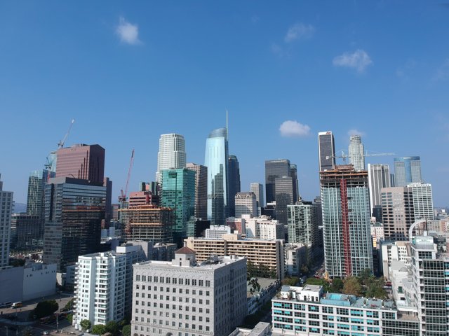 Urban Metropolis: A View of Los Angeles Skyline