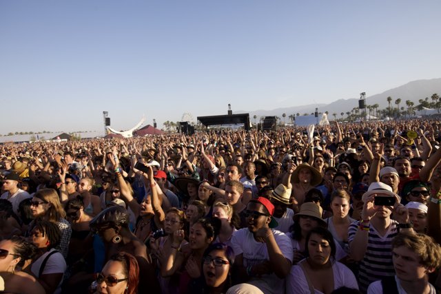 Coachella 2011: Music and Madness