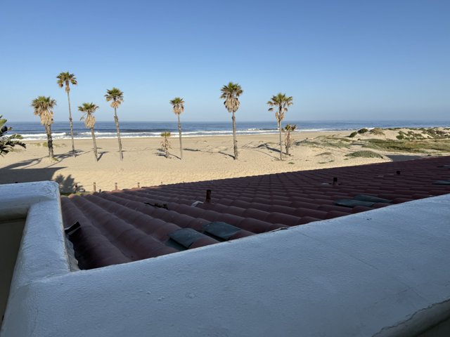 Paradise by the Pacific