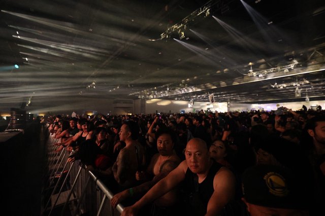 Massive Crowd Surges at Wobbleland 2026 Festival