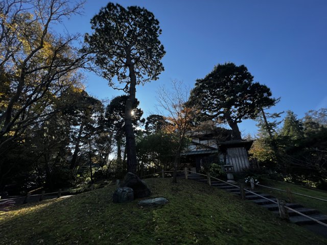 Japanese Temple in the San Francisco Countryside