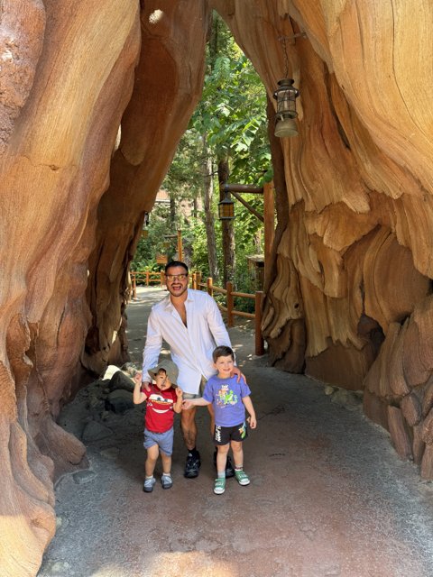 A Magical Moment Among Trees