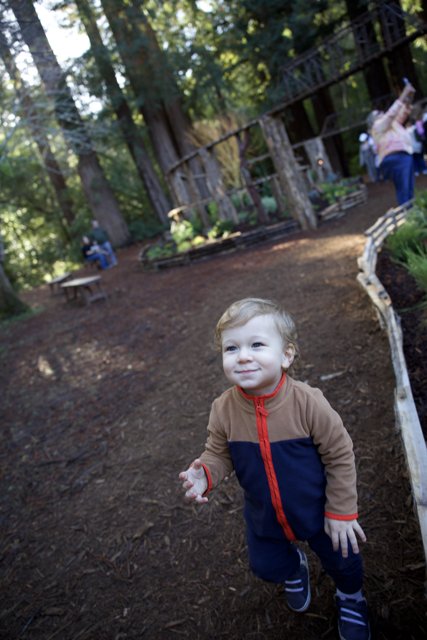 A Stroll Through Thistlewyck