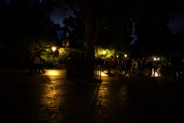 Magical Night Stroll in Disneyland