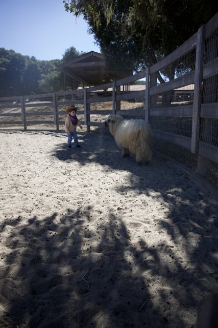 Ranch Adventures in Carmel Valley