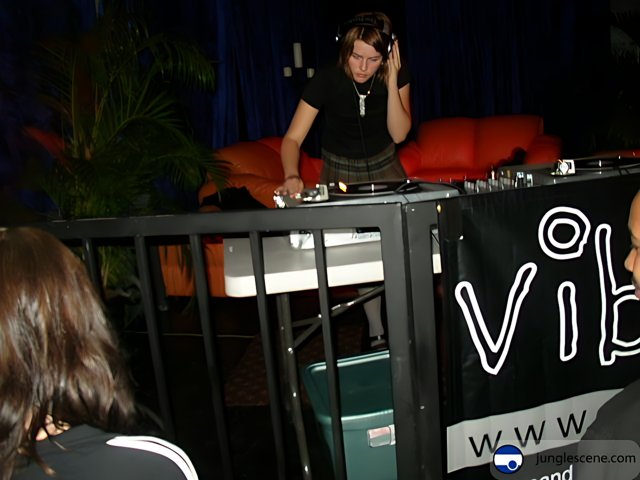 DJ Performance At The Club