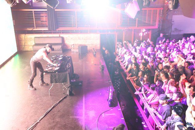 DJ Ignites the Crowd at Wobbleland 2026