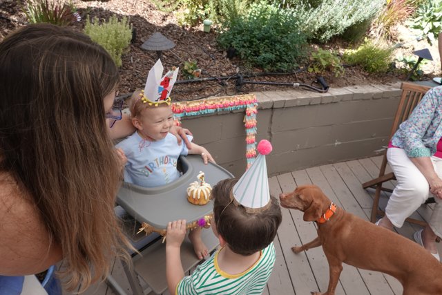 Birthday Bash in the Backyard