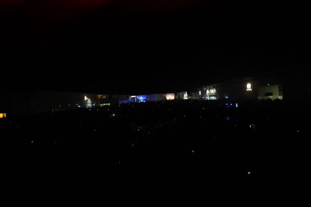 Massive Crowd Gathered at Wobbleland Festival Night