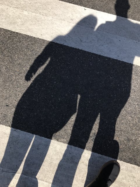 Shadowy crosswalk