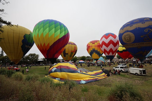 Colorful Hot Air Balloons at Sonoma County Classic