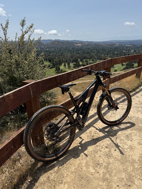 Mountain Biking Bliss