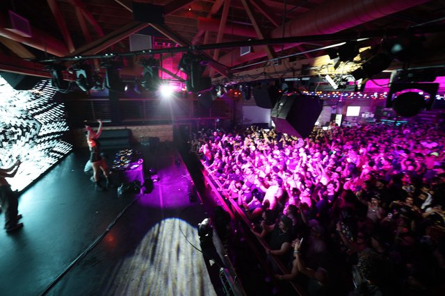 Packed Crowd Surges Under Purple Lights at Wobbleland
