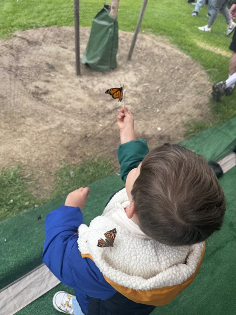 Winged Wonders in Plaza Park