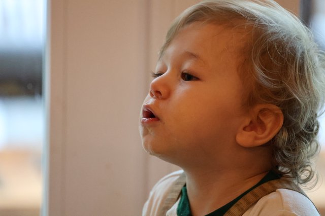 Curious Toddler Gazing at Christmas Lights