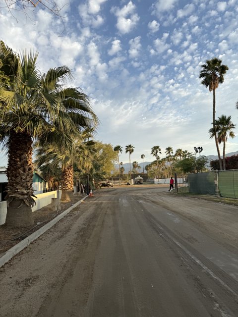Desert Oasis Pathway