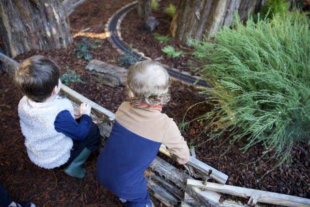 Exploring the Woodland Wonder