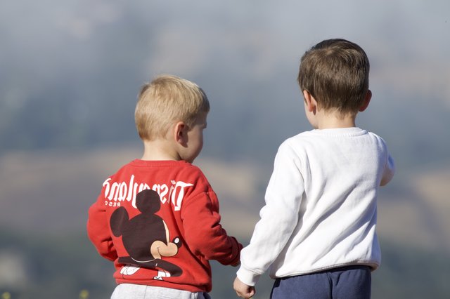 Two Young Boys Gazing Toward Mount Diablo Horizon