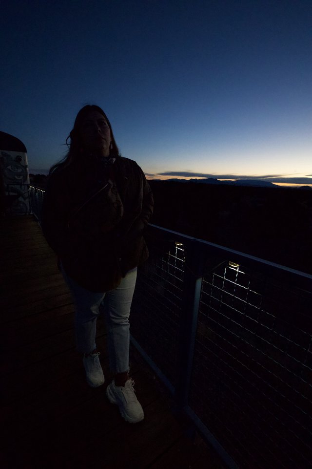 Twilight Moment at Scenic Overlook During Golden Hour