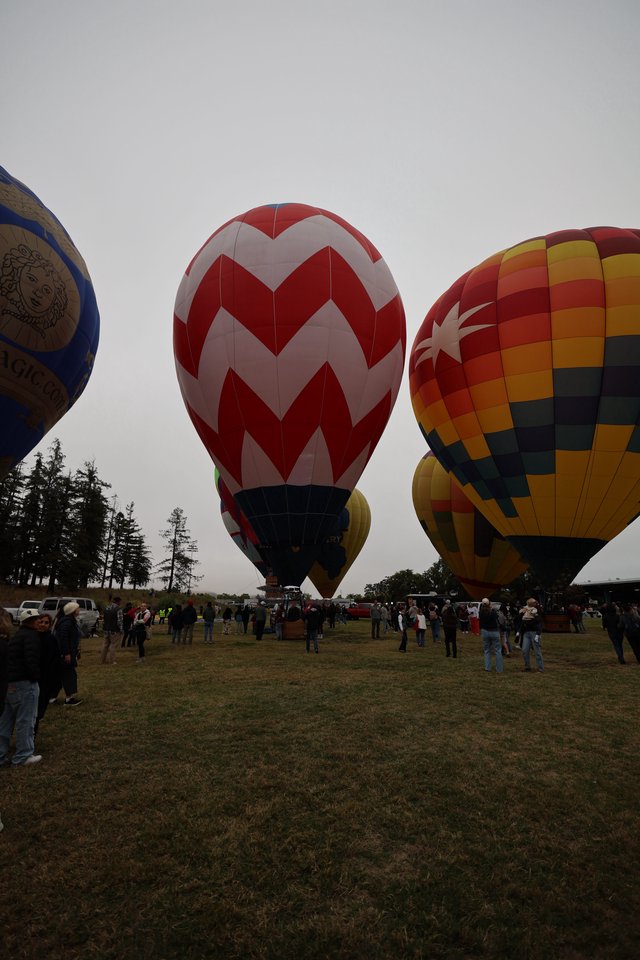 Colorful Hot Air Balloons Ready for Liftoff at Festival