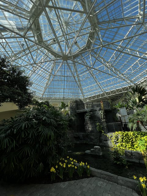 Oasis under the Glass Dome