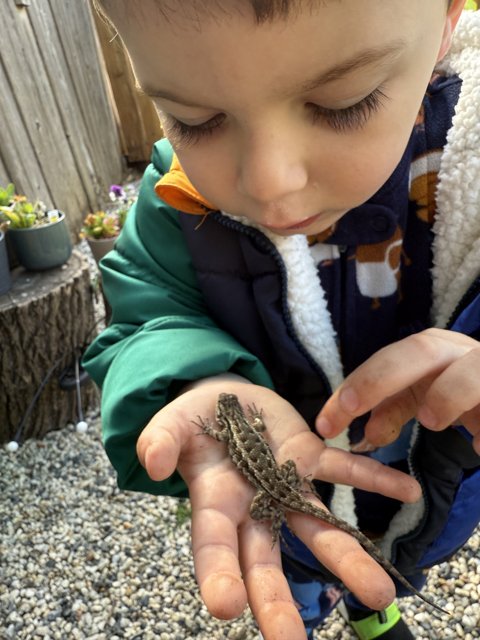Curious Discoveries