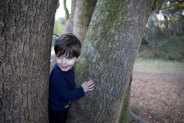 Hide and Seek Delight