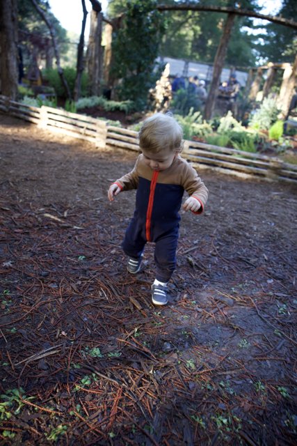 A Toddler's Adventure at Thistlewyck