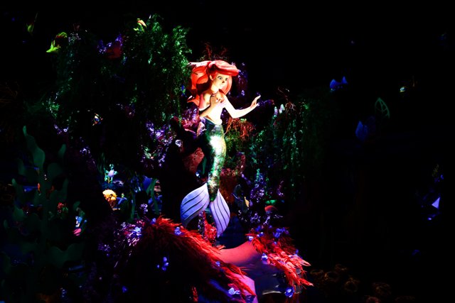 Enchanting Night at Disneyland