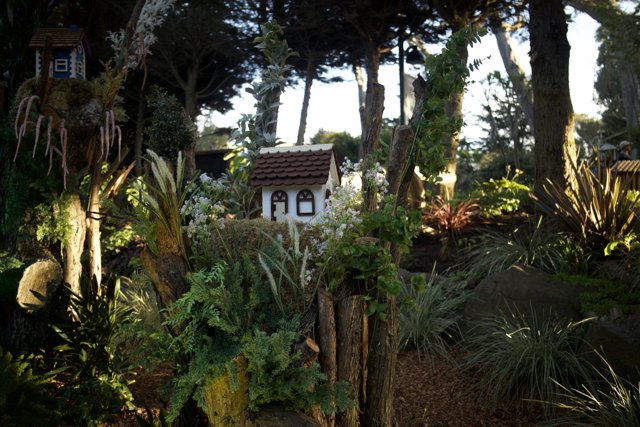 Enchanting Miniature Garden Retreat
