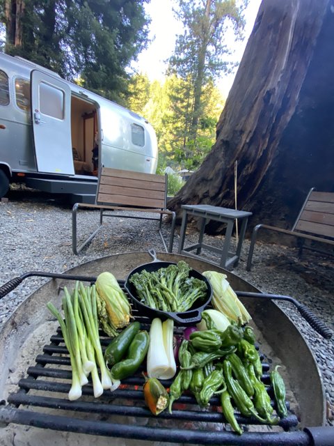 Grilling Outdoors with Fresh Produce