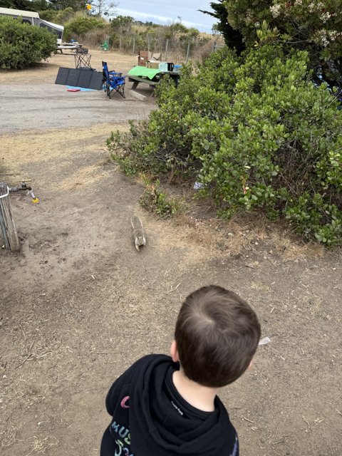 Curious Encounters in Cambria