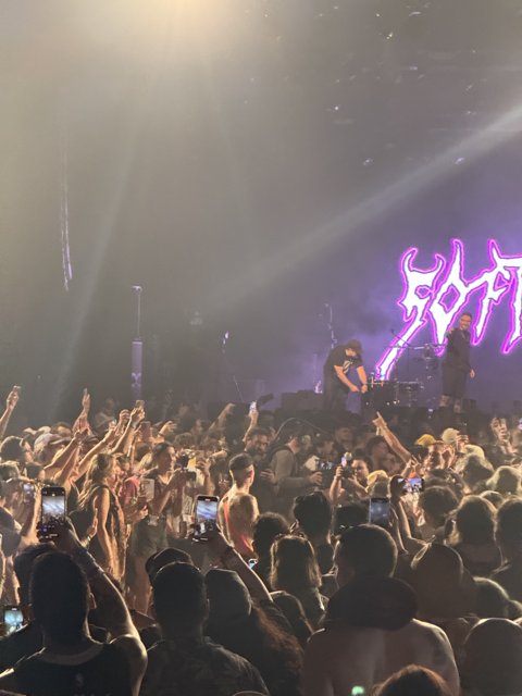 Electric Vibes Under the Stars