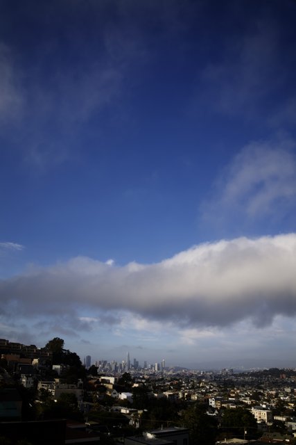 Hilltop Perspective: San Francisco Cityscape