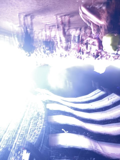 Illuminated Vibrance