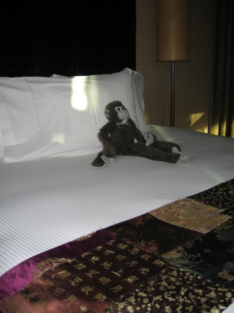 Monkey on a Cozy Bed