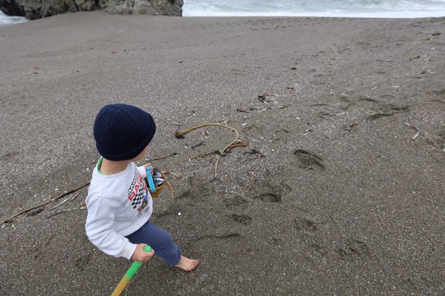 Little Explorer Discovers Treasures on Sandy Beach