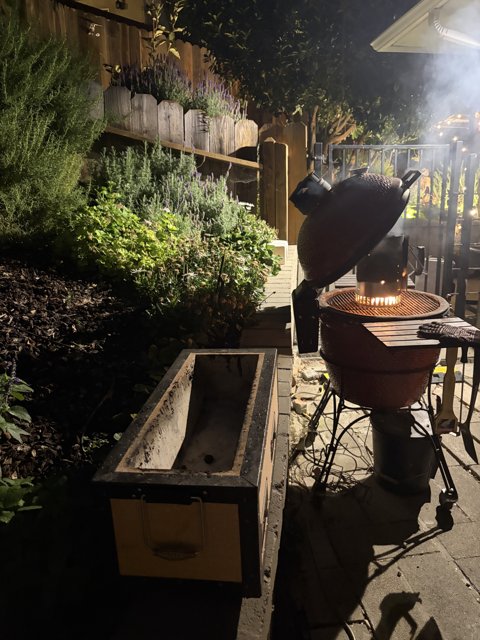 Evening Serenity in the Backyard Garden